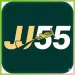jj55