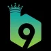 b9 (4)